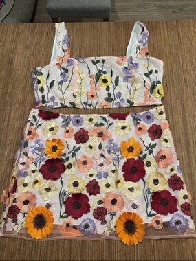 Finesse Floral Embroidered Two-Piece Crop Top & Mini Skirt Set - Multicolor
